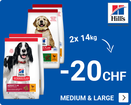 Hills -20 euro bij 2x grootverpakking DOG